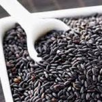 قیمت تخم شربتی در بازار