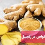 فروشگاه زنجبیل قلم آفریقایی