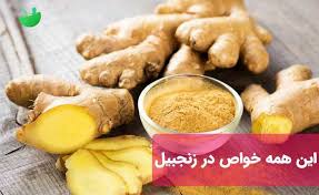 فروشگاه زنجبیل قلم آفریقایی