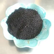 فروش عمده تخم شربتی ریز