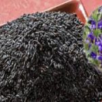 فروش اینترنتی تخم شربتی بالنگو