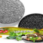 فروش عمده انواع تخم شربتی