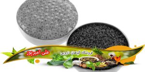 فروش عمده انواع تخم شربتی