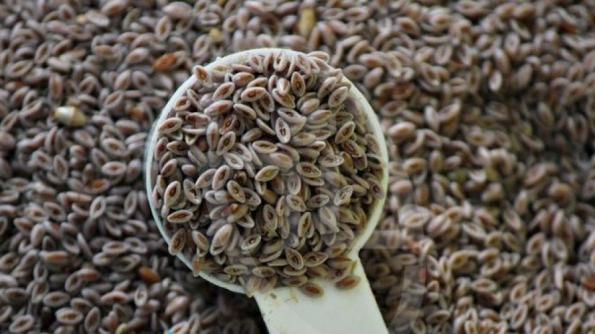 آشنایی با انواع خواص فوق العاده بارهنگ