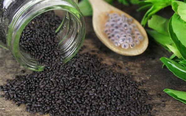 تامین کننده تخم شربتی اعلا