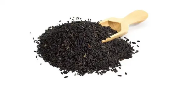 همه چیز درباره تخم بالنگو