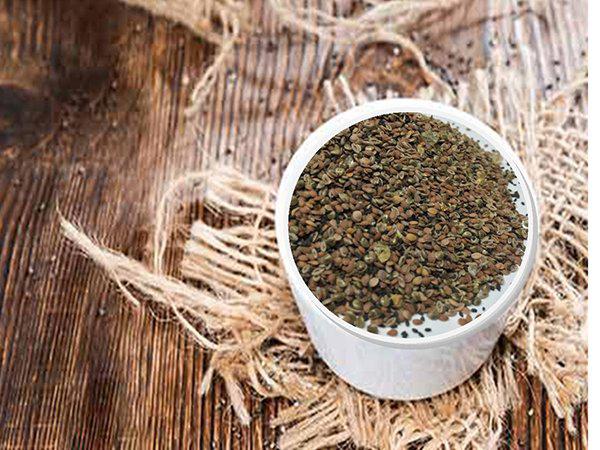 خرید بارهنگ صادراتی به صورت بسته بندی شده