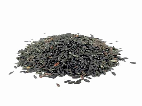 بازرگانی تخم بالنگو شربتی ایرانی