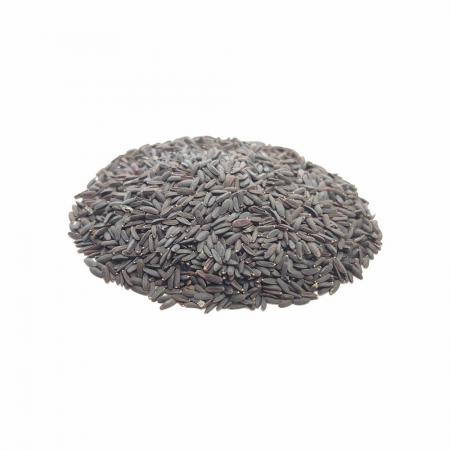 صادرات عمده تخم بالنگو