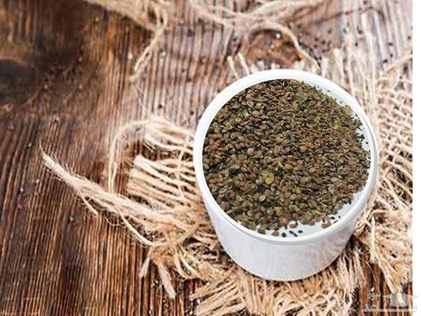 خرید مستقیم بارهنگ ارزان از تولید کننده