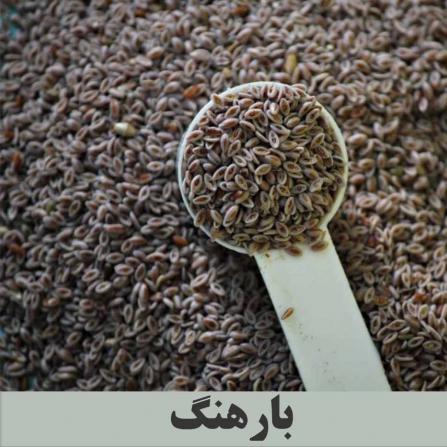 آشنایی بیشتر با فروشنده عمده بارهنگ