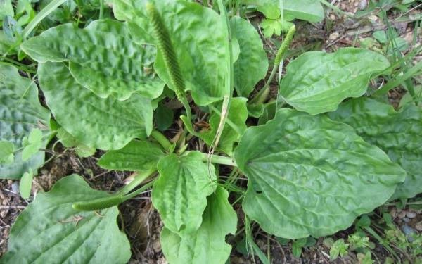 مراکز خرید بارهنگ ارزان