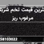 بهترین قیمت تخم شربتی مرغوب ریز
