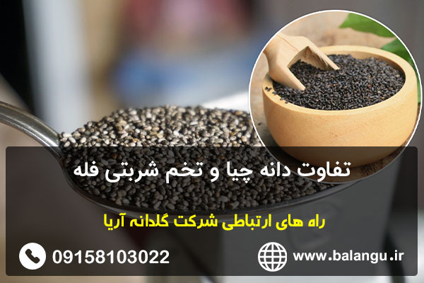 تفاوت دانه چیا و تخم شربتی فله