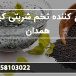 توزیع کننده تخم شربتی کیلویی همدان