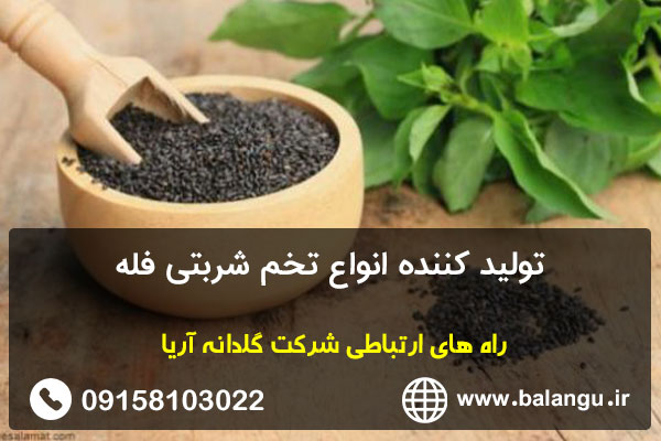 تولید کننده انواع تخم شربتی فله