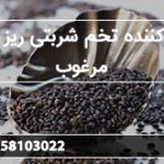 تولید کننده تخم شربتی ریز هندی مرغوب
