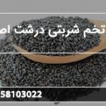 خرید تخم شربتی درشت اصفهان