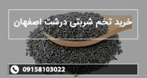 خرید تخم شربتی درشت اصفهان