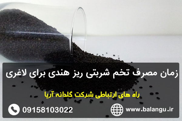 زمان مصرف تخم شربتی ریز هندی برای لاغری