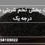 شرکت پخش تخم شربتی مشهد درجه یک