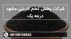 شرکت پخش تخم شربتی مشهد درجه یک