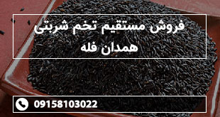 فروش مستقیم تخم شربتی همدان فله