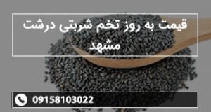 قیمت به روز تخم شربتی درشت مشهد