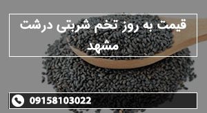 قیمت به روز تخم شربتی درشت مشهد