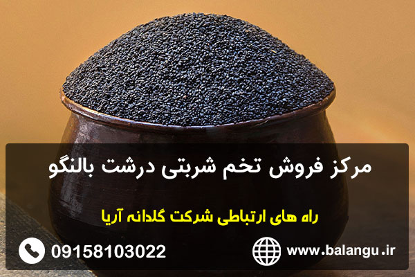 مرکز فروش تخم شربتی درشت بالنگو