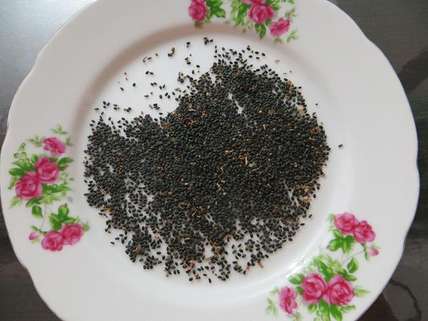 توزیع کنندگان تخم ریحان سبز درجه یک