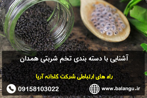 آشنایی با دسته بندی تخم شربتی همدان