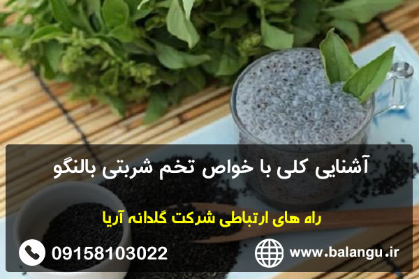 آشنایی کلی با خواص تخم شربتی بالنگو