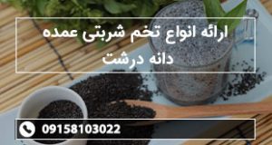 ارائه انواع تخم شربتی عمده دانه درشت