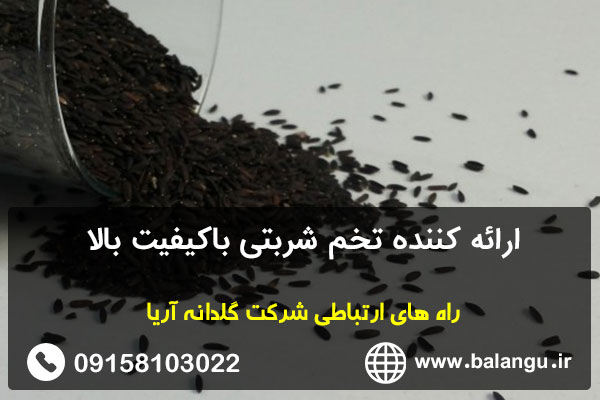 ارائه کننده تخم شربتی باکیفیت بالا