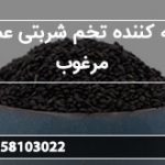 ارائه کننده تخم شربتی عمده مرغوب