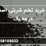 بازار خرید تخم شربتی اصفهان درجه یک