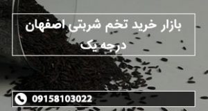 بازار خرید تخم شربتی اصفهان درجه یک