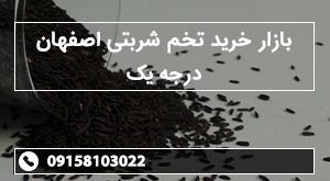 بازار خرید تخم شربتی اصفهان درجه یک