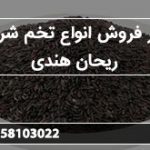 بازار فروش انواع تخم شربتی ریحان هندی