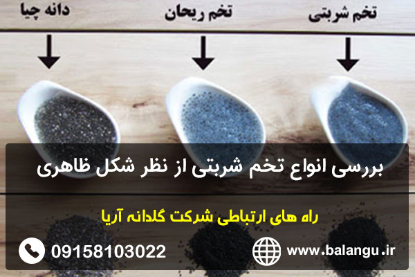 بررسی انواع تخم شربتی از نظر شکل ظاهری