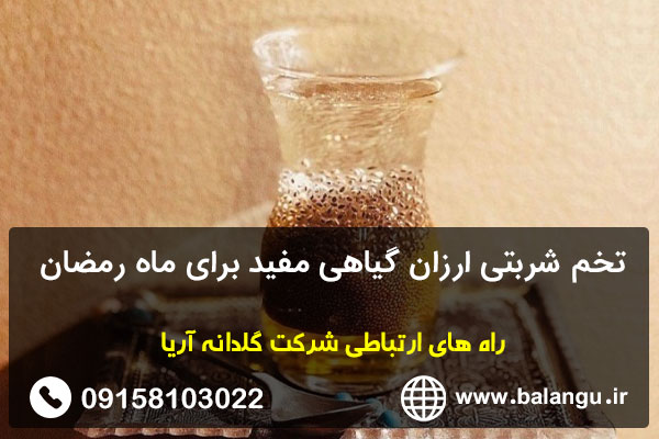 تخم شربتی ارزان گیاهی مفید برای ماه رمضان
