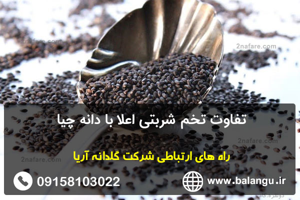 تفاوت تخم شربتی اعلا با دانه چیا