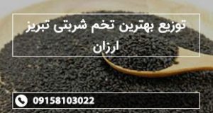 توزیع بهترین تخم شربتی تبریز ارزان