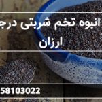 تولید انبوه تخم شربتی درجه یک ارزان