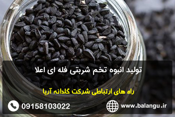 تولید انبوه تخم شربتی فله ای اعلا