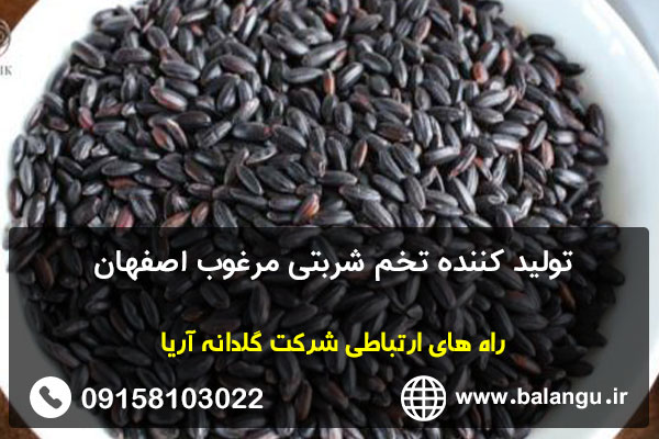 تولید کننده تخم شربتی مرغوب اصفهان