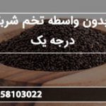 خرید بدون واسطه تخم شربتی ریز درجه یک