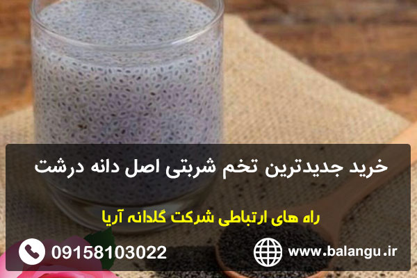 خرید جدیدترین تخم شربتی اصل دانه درشت