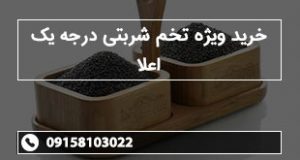 خرید ویژه تخم شربتی درجه یک اعلا